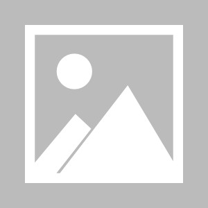 模拟器试玩-国内球队备战国际赛事，决战在即(欧洲杯即将开赛各参赛球队积极备战)