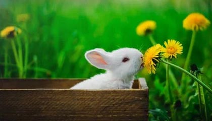 C7娱乐官网网页版|跑步赛事v2.8.8