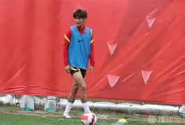 包含克罗地亚对斯洛文尼亚，卢卡迪亚扬破门助克罗地亚取胜的词条