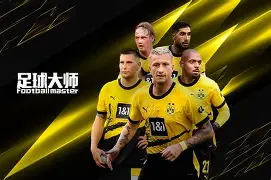 欧洲顶级联赛巨星云集，球迷热情高涨的简单介绍