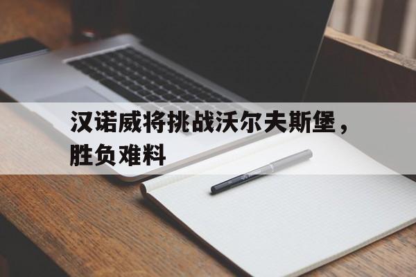 法兰克福沃尔夫斯堡分析