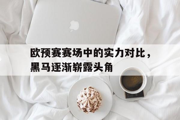 欧预赛赛场中的实力对比，黑马逐渐崭露头角的简单介绍