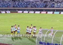 中国足球明星在国际赛事中发挥出色 中国足球明星在国际赛事中发挥出色
